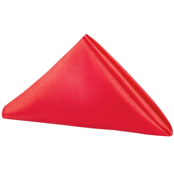Satin Napkins 20" x 20"